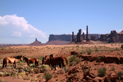 Il vecchio west - Monument Valley