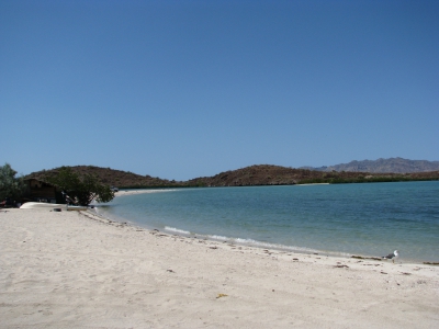 BAJA CALIFORNIA - Playa Coyote